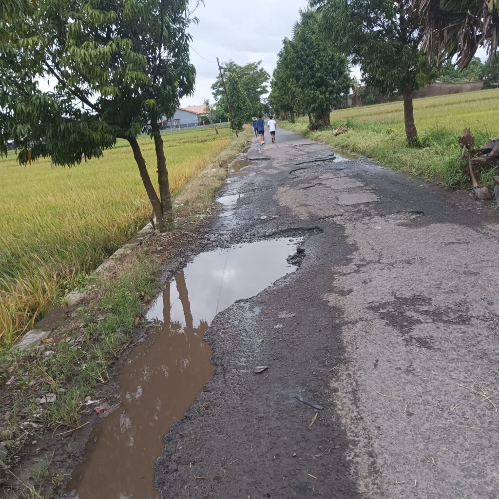 LBH Suara Panrita Keadilan Soroti Jalan Rusak Parah di Barombong Gowa : Pemda Gowa Dinilai Tidak Peduli